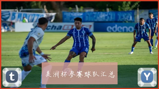 美洲杯参赛球队汇总